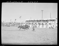 Les Hirdes - Al Hooper  Team Roping