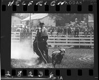 Bat Ridley Calf Roping