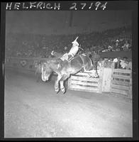 Daryl Hobdy on Centennial  (V)