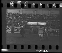 Sonny Cowden - John Miller Team Roping