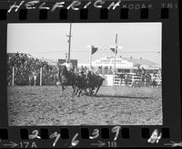 Fred Johnson Steer Wrestling