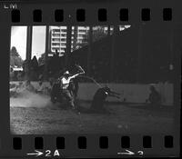 Mark Schricker Calf roping