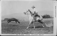 7Diamonds, Ed McCarty roping, Tucumcari, New M.