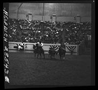 Roy Duvall Steer Wrestling