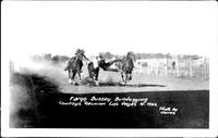 Fargo Bussey Bulldogging, Cowboy Reunion, Las Vegas, N.M.
