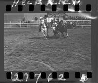 Jr. Meek Steer Wrestling