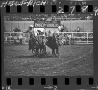 Barry Burk Steer Wrestling