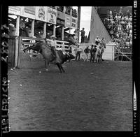 Larry Davis on Blue Bell