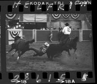 Roy Duvall Steer Wrestling