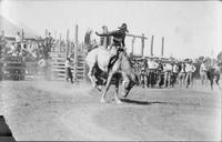 Leonard riding K.C. roan at Wichita Falls this year