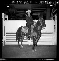 Harley May & Walt's horse