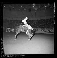 Winston Bruce on Roly Poly  (Steiner)