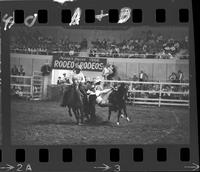 Bill Fedderson Steer Wrestling