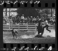 Ted Smalley Calf Roping
