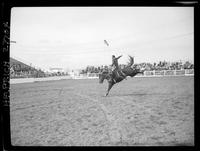 R.L. Tolbert on Snake River