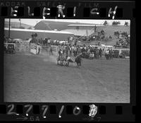 Johnny Crawford Steer Wrestling