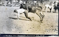 Let 'Er Buck The Round Up Pendleton Oregon 1918