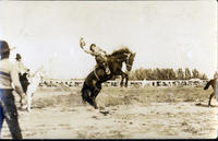 Unidentified cowgirl saddle bronc riding