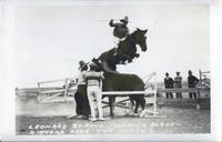 Leonard Stroud Jumping Black Diamond over Two Horses