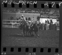 C.R. Boucher Steer Wrestling