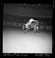 Bill Martinelli on Red Top  (Myers)