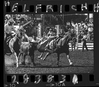 Bob Prusack Steer Wrestling