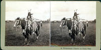 A Picturesque Figure at Crow Fair