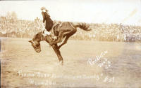 Prairie Rose Henderson on Brandy