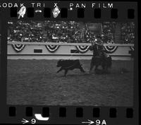 Mark Schricker Calf Roping