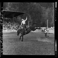 Charlie Calombe leaving Idaho  (F)