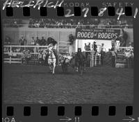 Harley May Steer Wrestling