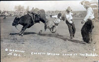 Everett Wilson Lands at the RoundUp, No. 50-A