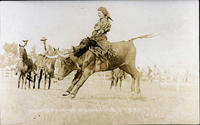 Mildred Douglas Riding Wild Steer