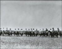 [18 cowboys and cowgirls on horseback with cattle herd in background]