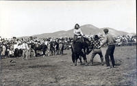 Unidentified cowgirl saddle bronc riding