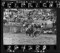 Bob Nordtome Calf Roping