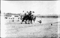 Leonard Stroud making four horse catch -1925- Belle Fourche, S.D.