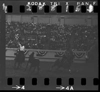 Harold Mattos - Buckly Bradford Team Roping