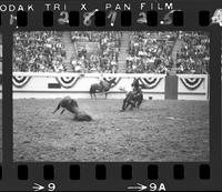 Marvin Cantrell Calf Roping