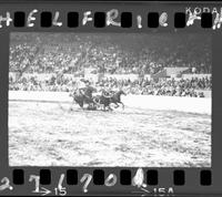 Donnie Yandell Steer Wrestle