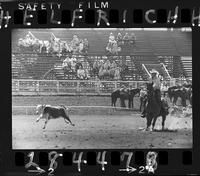 Bill Severe Calf Roping
