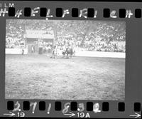 Walt Linderman Steer Wrestle