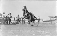 Leonard Stroud going under his horse while at full speed, Tucumcari Round-Up