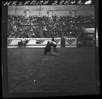 Marvin Cantrell Calf Roping