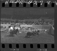 Fred Darnell - Billy Darnell Team Roping