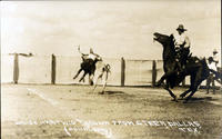 Louise Hartwig Thrown from Steer, Dallas, Tex.