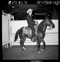 Harley May & Walt's horse