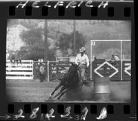 Loretta Manuel Barrel Racing