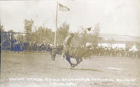 Jesse Stahl riding backwards Pendleton Round-up