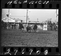 Bob Henry Steer Wrestling